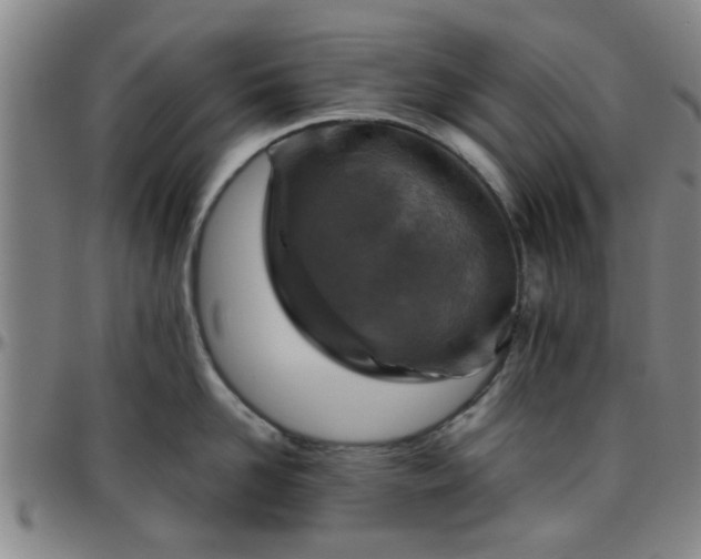 X0000096440958200801311426