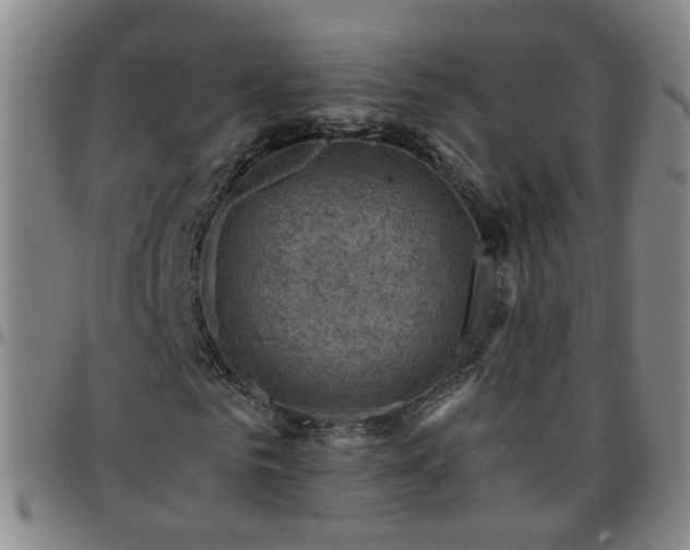 X0000096440961200801311425