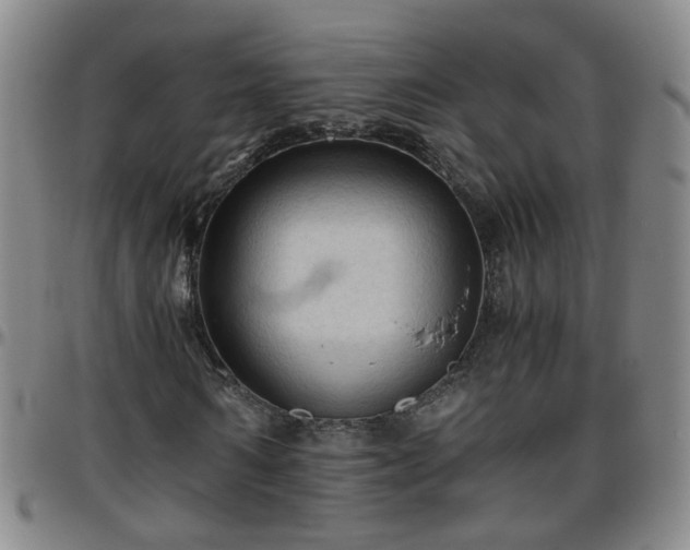 X0000096440962200801311425