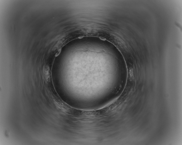 X0000096440963200801311425