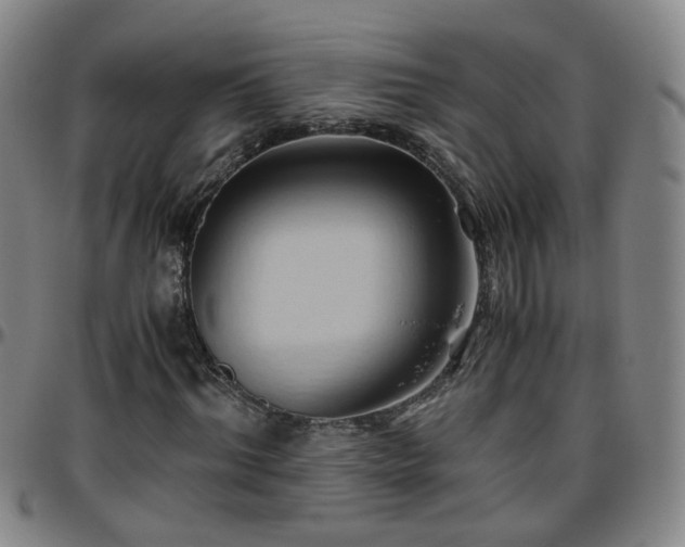 X0000096440964200801311425