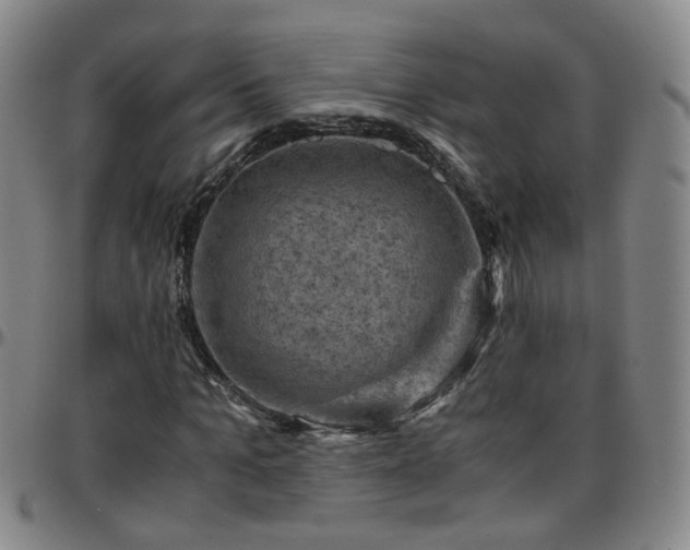 X0000096440965200801311425