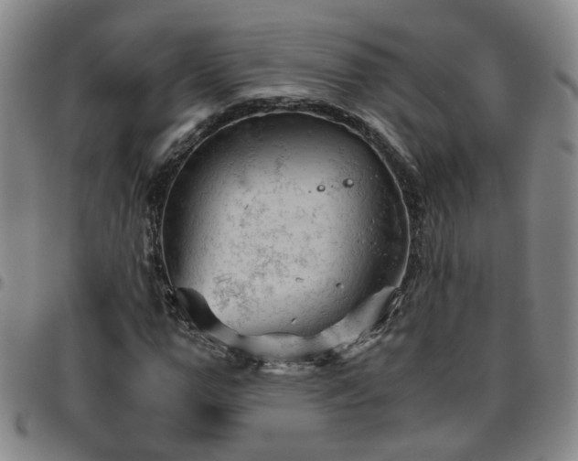 X0000096440967200801311425