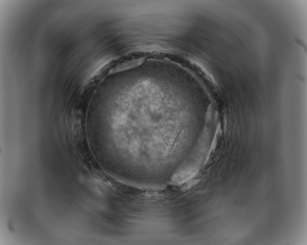 X0000096440968200801311425