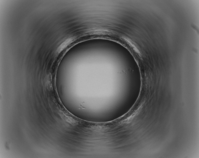 X0000096440970200801311425