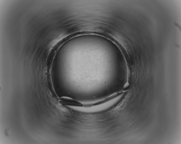 X0000096440971200801311425