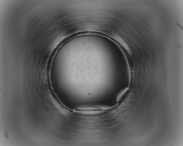 X0000096440972200801311425