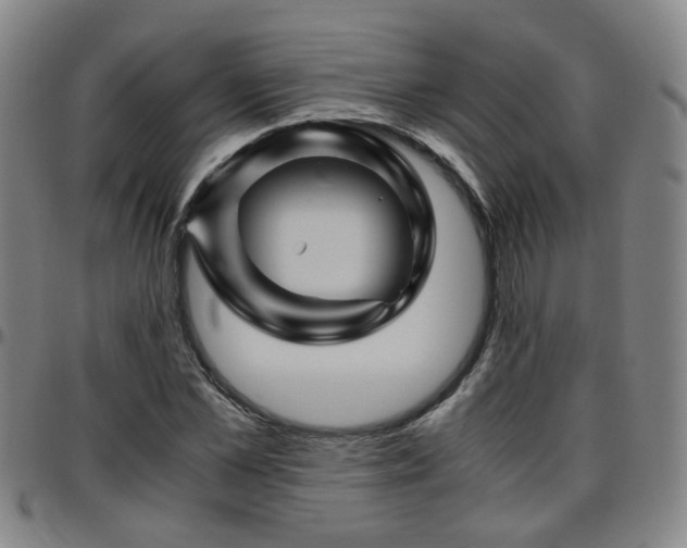 X0000096440973200801311425