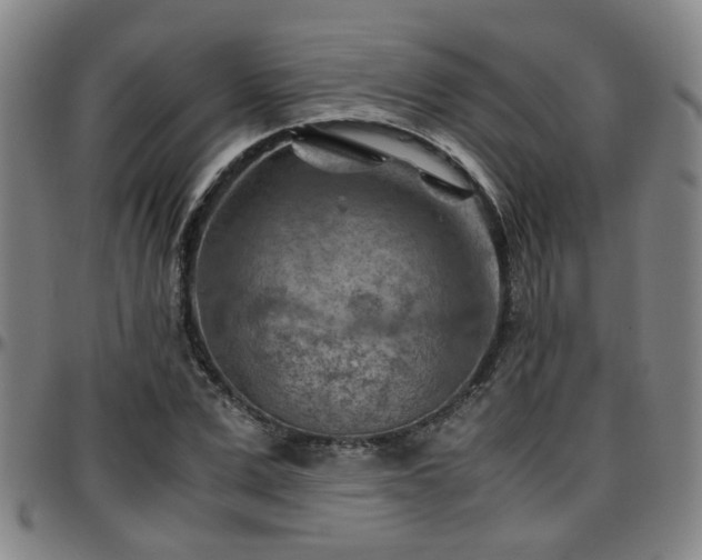 X0000096440975200801311425