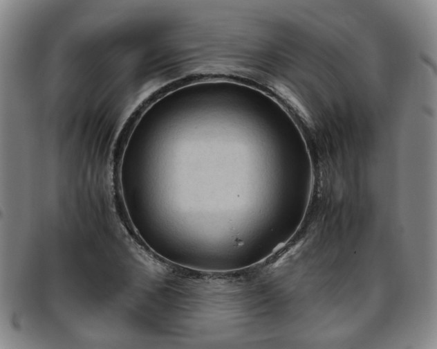 X0000096440976200801311425