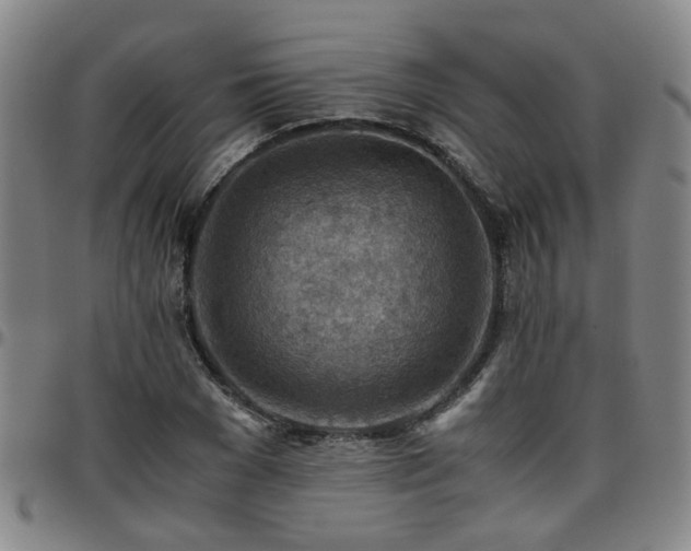 X0000096440977200801311425