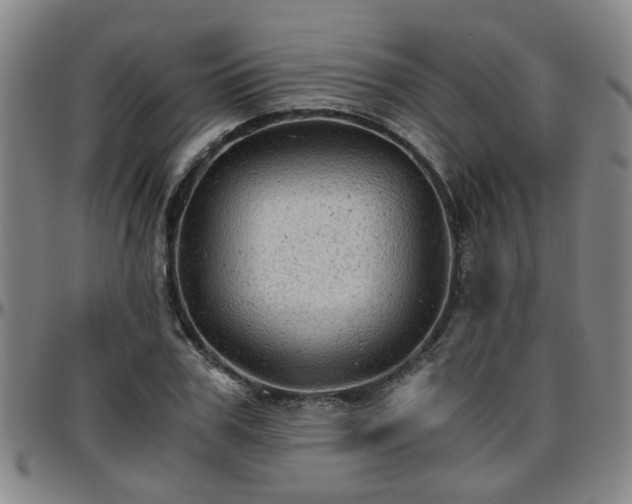 X0000096440979200801311425