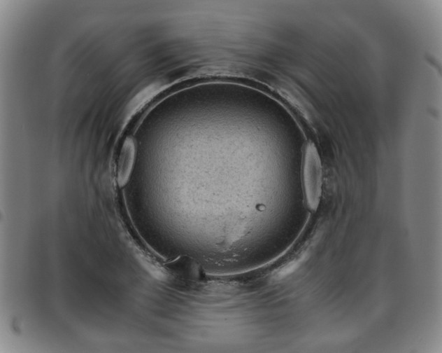 X0000096440981200801311425