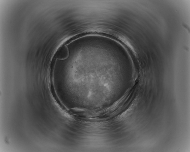 X0000096440984200801311425