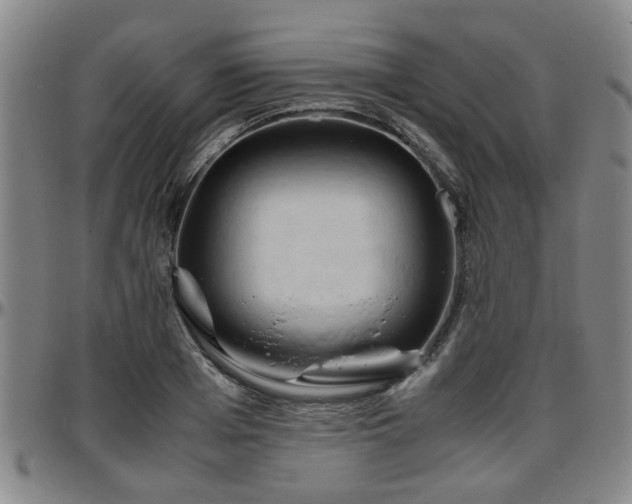 X0000096440985200801311425