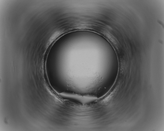 X0000096440986200801311425