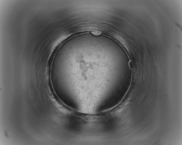 X0000096440987200801311425