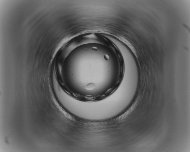 X0000096440989200801311425