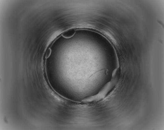 X0000096440990200801311425