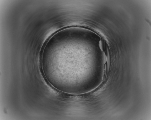 X0000096440991200801311425