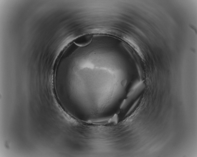 X0000096440992200801311425