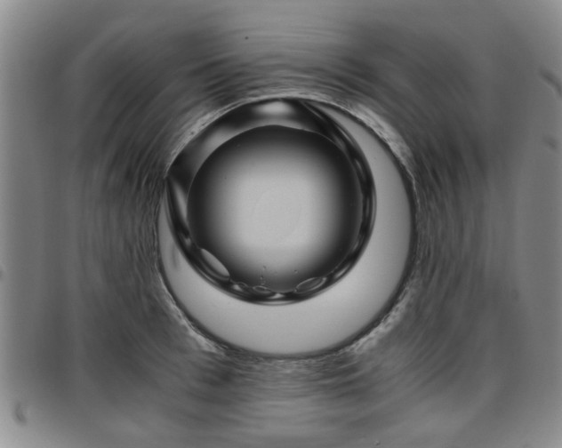 X0000096440993200801311425