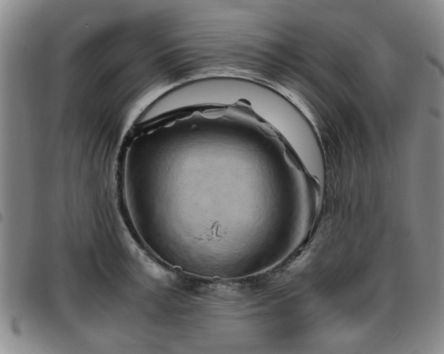 X0000096440995200801311425