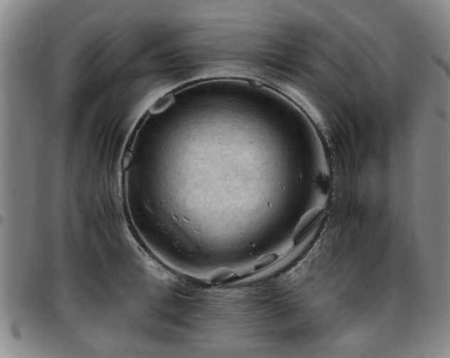 X0000096440996200801311425