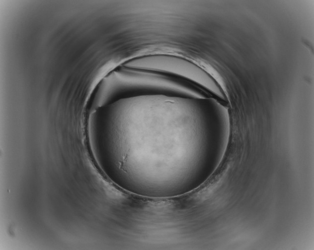 X0000096440997200801311425