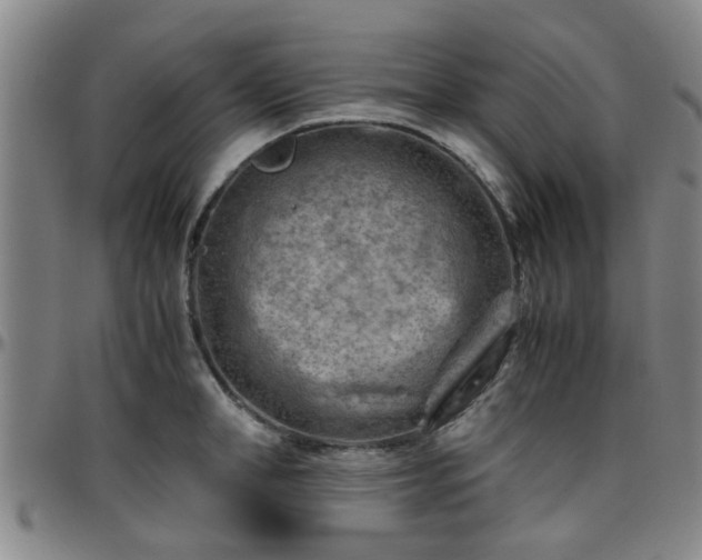 X0000096440998200801311425