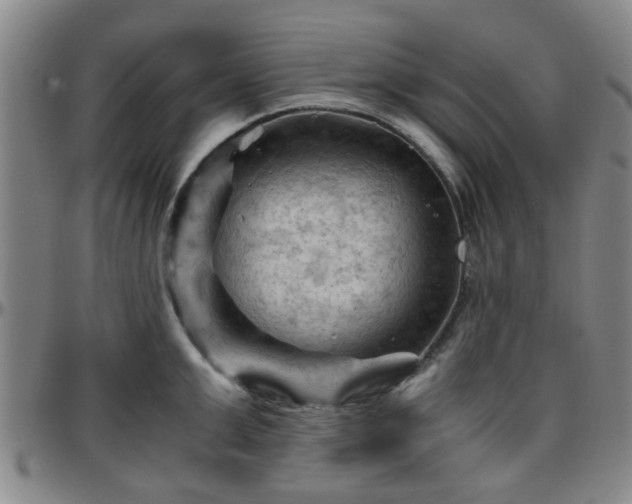 X0000096440999200801311425