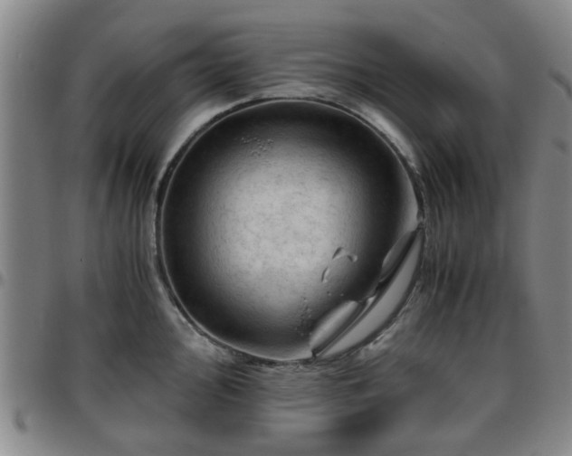 X0000096441000200801311425