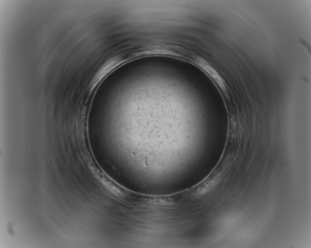 X0000096441002200801311425