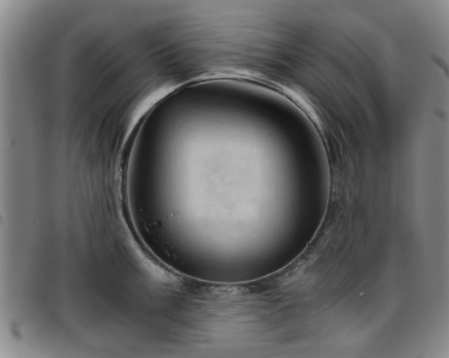 X0000096441003200801311425