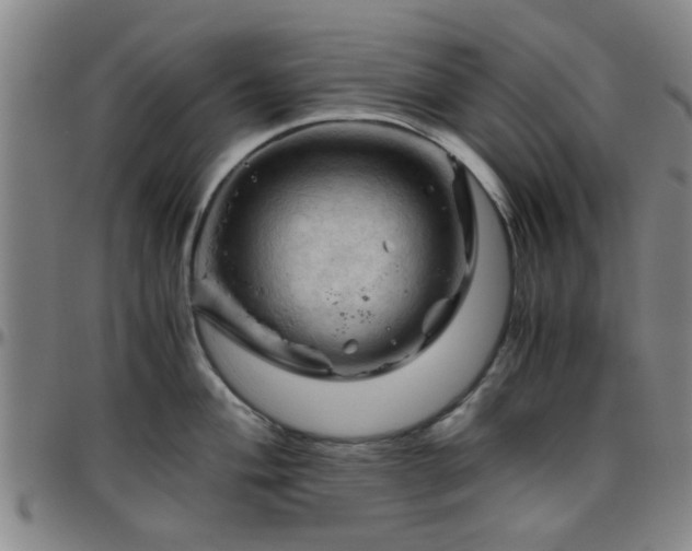 X0000096441004200801311424