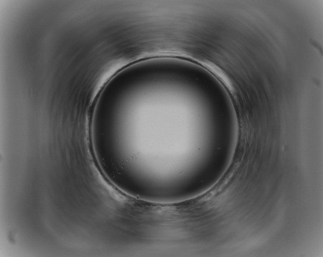 X0000096441006200801311424