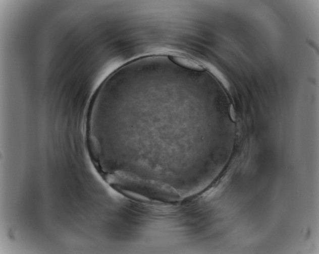 X0000096441007200801311424