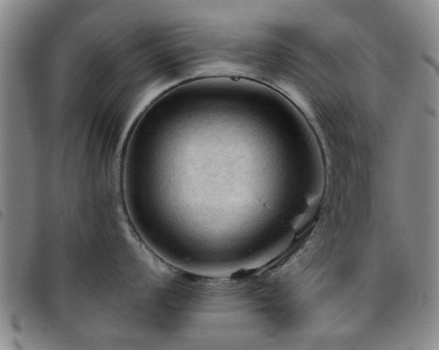 X0000096441008200801311424