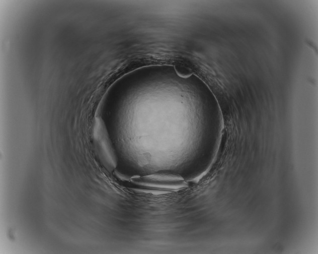 X0000096441009200801311424
