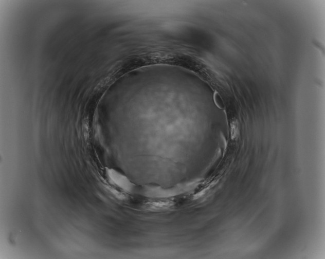 X0000096441011200801311424