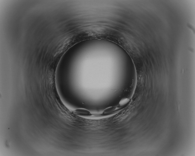 X0000096441012200801311424