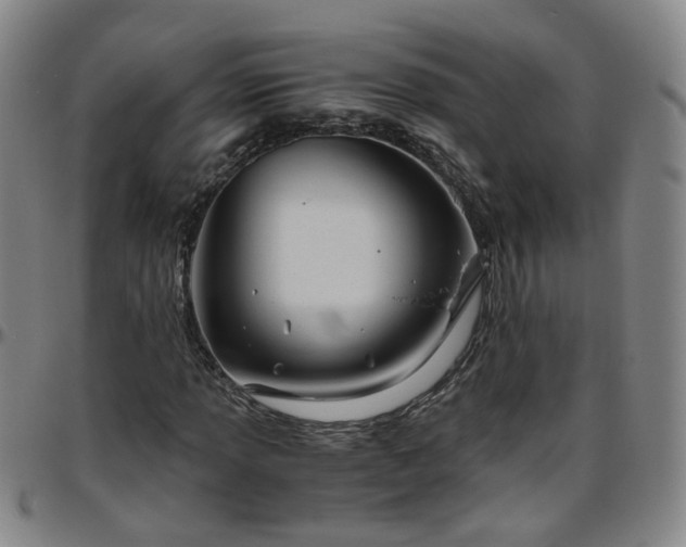 X0000096441013200801311424