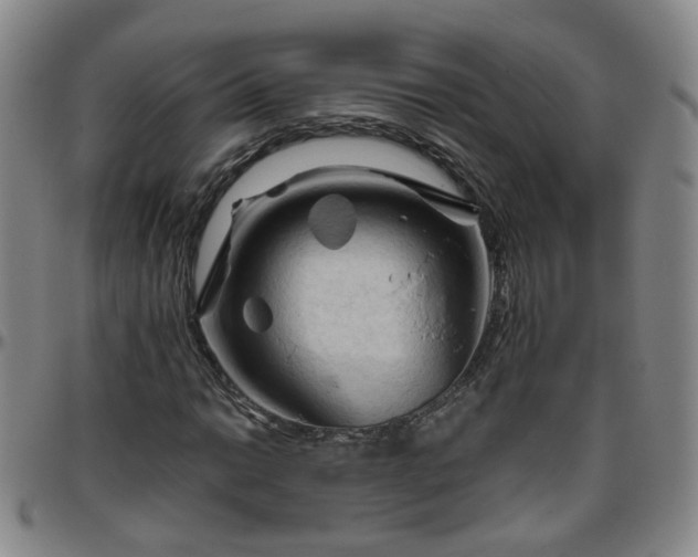 X0000096441014200801311424