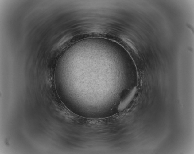 X0000096441015200801311424