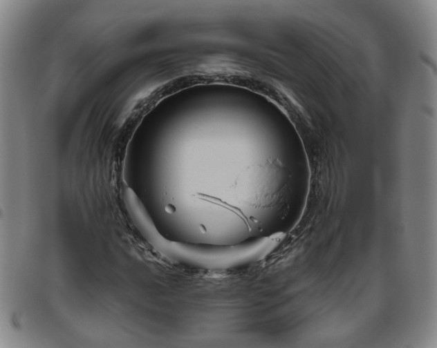 X0000096441016200801311424