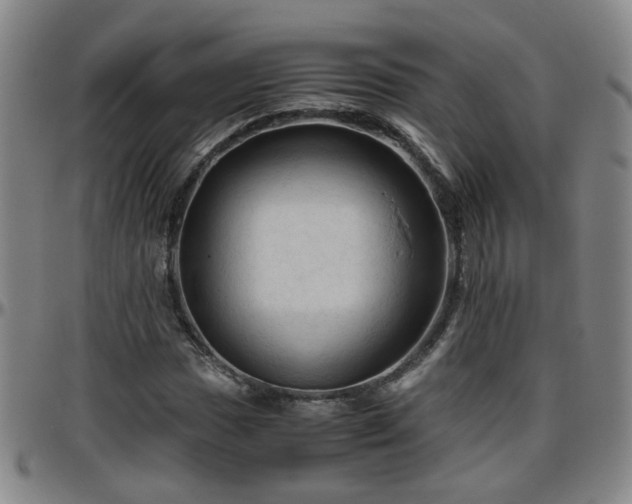 X0000096441017200801311424