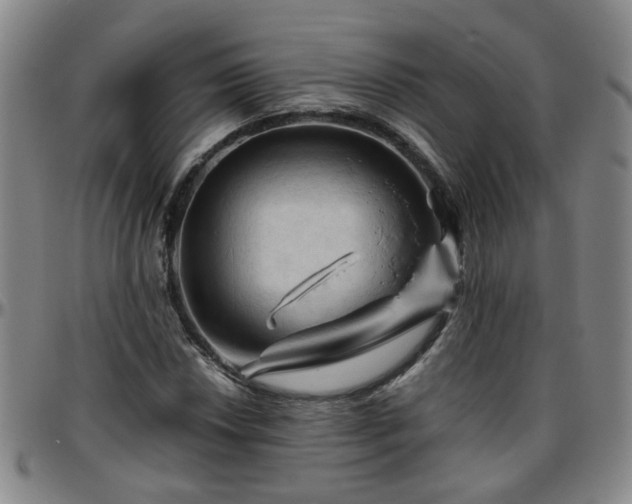 X0000096441018200801311424