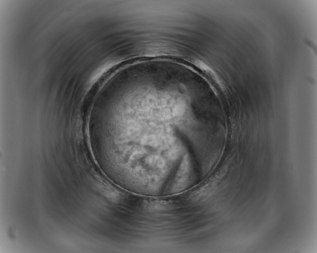 X0000096441019200801311424