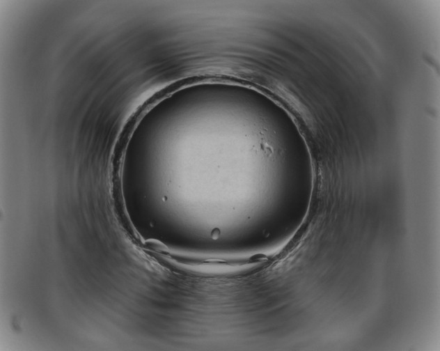 X0000096441020200801311424