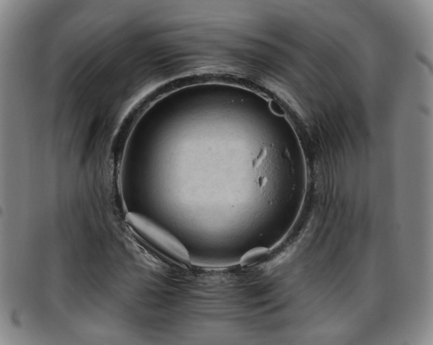 X0000096441021200801311424